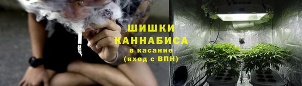 PSILOCYBIN Богородицк