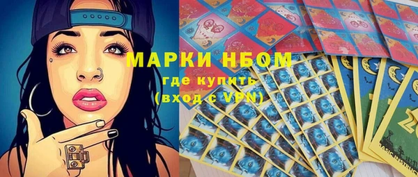 PSILOCYBIN Богородицк