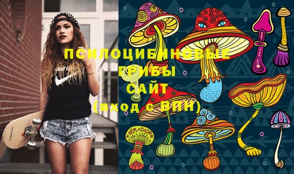 гидропоника Богородск