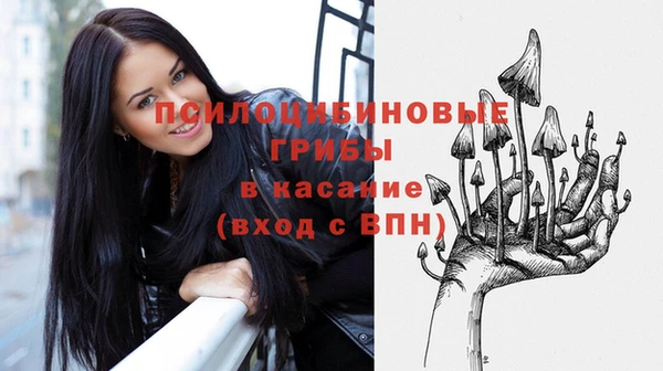 гидропоника Богородск