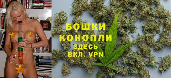 PSILOCYBIN Богородицк