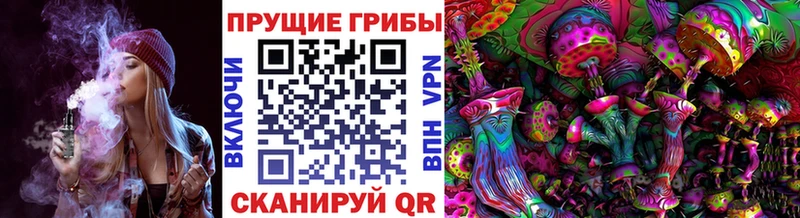 blacksprut вход  Клин  Галлюциногенные грибы MAGIC MUSHROOMS 